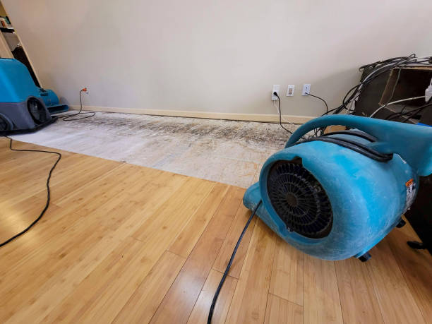 Professional Water Damage Repair technician working in Sparks, TX